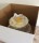 Tortenkarton Cake Box 35 x 35 x 30,5 cm
