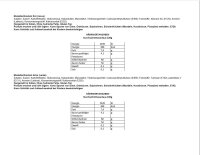 Saracino Modellierpaste Hellblau 250 g MHD 02/2026