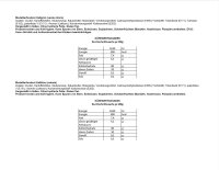 Saracino Modellierpaste Hellblau 250 g MHD 02/2026