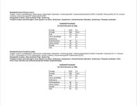 Saracino Modellierpaste Hellblau 250 g MHD 02/2026