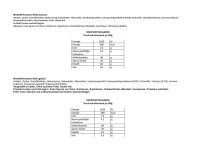 Saracino Modellierpaste Hellblau 250 g MHD 02/2026