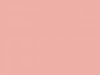 Wilton Creamy Peach 28g