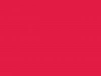 Wilton Red 28g