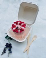 10 Stk. Bento Cake Box XXL Burger Box 17,6 x17,6 x13 cm Zuckerrohr