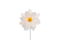 Premium Wafer Flower - Lotus Large - 10 Stk.