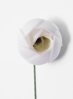 Premium Wafer Flower - Ranunculus mini - 15 Stk.