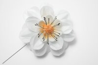 Premium Wafer Flower - Anemone Large - 1 Stk.