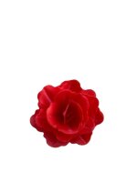 Premium Wafer Flower - Garden Rose - 12 Stk.
