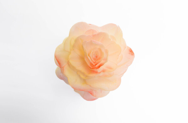 Premium Wafer Flower - Velvet Rose Large - 1 Stk