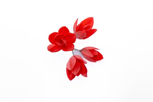 Premium Wafer Flower - Lotus - 8 Stk.