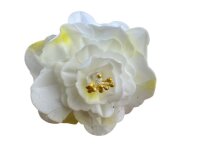 Premium Wafer Flower - Rose - 15 Stk.