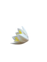 Premium Wafer Flower - Rose - 40 Stk.
