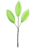 Premium Wafer Flower - hellgrüne Blätter - 15 Stk.