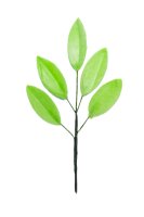 Premium Wafer Flower - Hellgrün Blätter - 10 Stk.