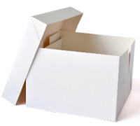 10 Stk. Tortenkarton Cake Box 30,5 x 30,5 x 25,4 cm Konditor