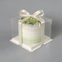 Kuchen Box transparent Tortenverpackung - 17x17x12,5 cm -...