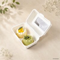 10 Sk. Bento Cake Box 20 x 12 x 10 cm mit Sichtfenster -...